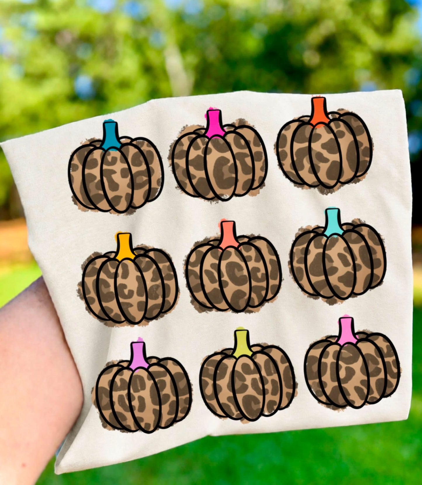 Colorful or Leopard Pumpkins