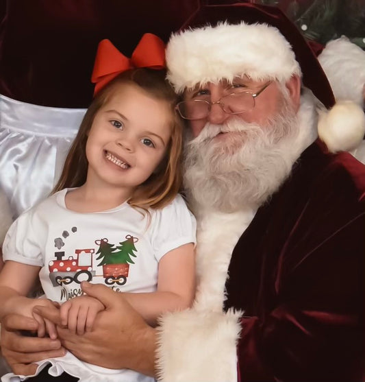 Christmas train collection